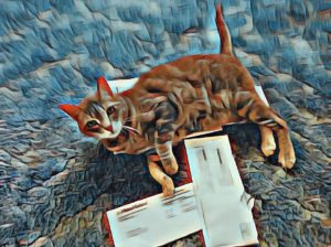 Read more about the article My Cat Reads My Mail ~ a short poem by Katrina Curtiss 4/30/2020