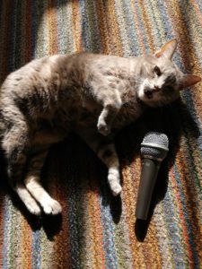 Read more about the article The Cat Who Tried To Sing ~ a short poem by Katrina Curtiss 4/13/2020