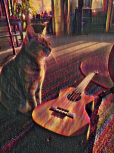 Read more about the article My Cat and Me and our Ukulele ~ a short poem by Katrina Curtiss 6/1/2020