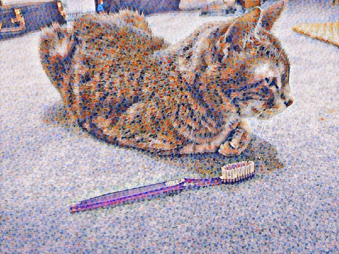 You are currently viewing My Cat Loses Her Favorite Toothbrush ~ a short poem by Katrina Curtiss 5/19/2020