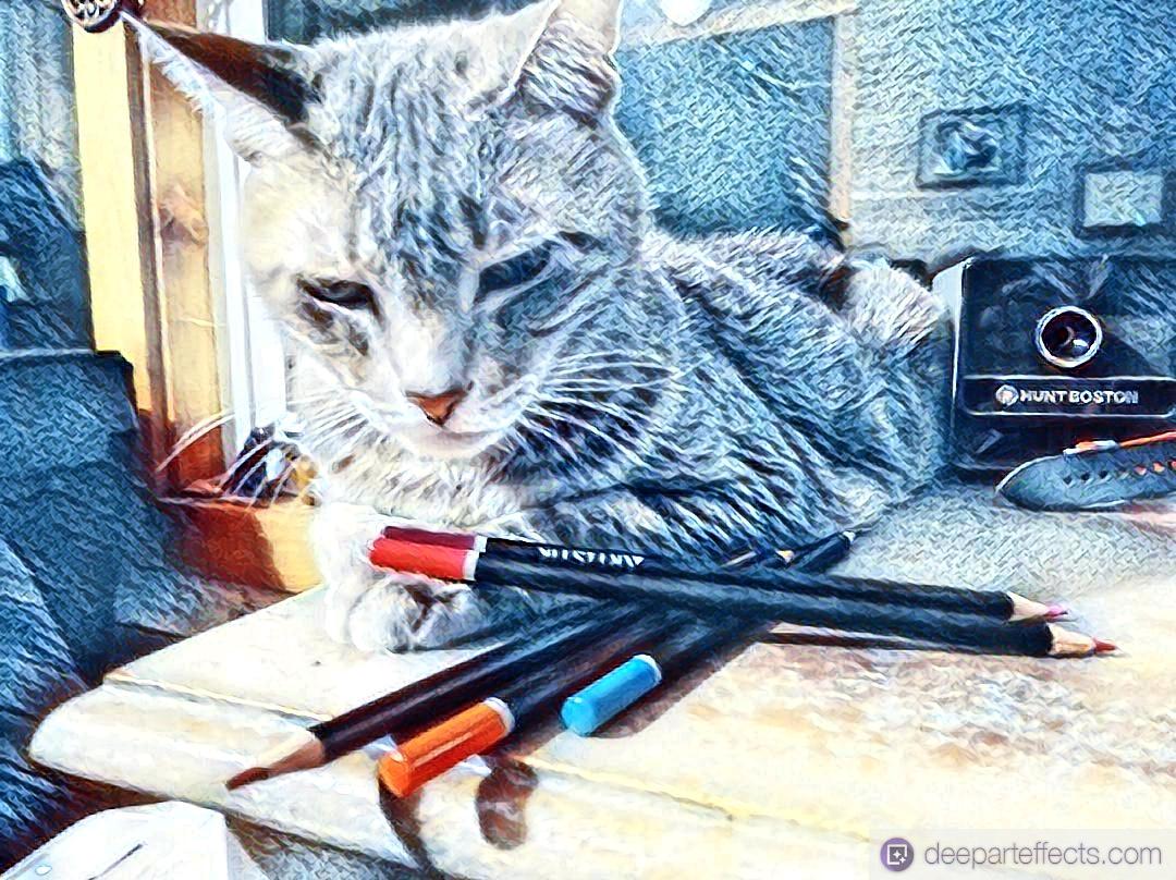 Read more about the article My Cat Gives Me A Drawing Lesson ~ by Katrina Curtiss 7/13/2020