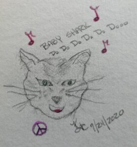 Read more about the article My Cat Sings The Baby Shark Song ~ a short poem by Katrina Curtiss 7/24/2020