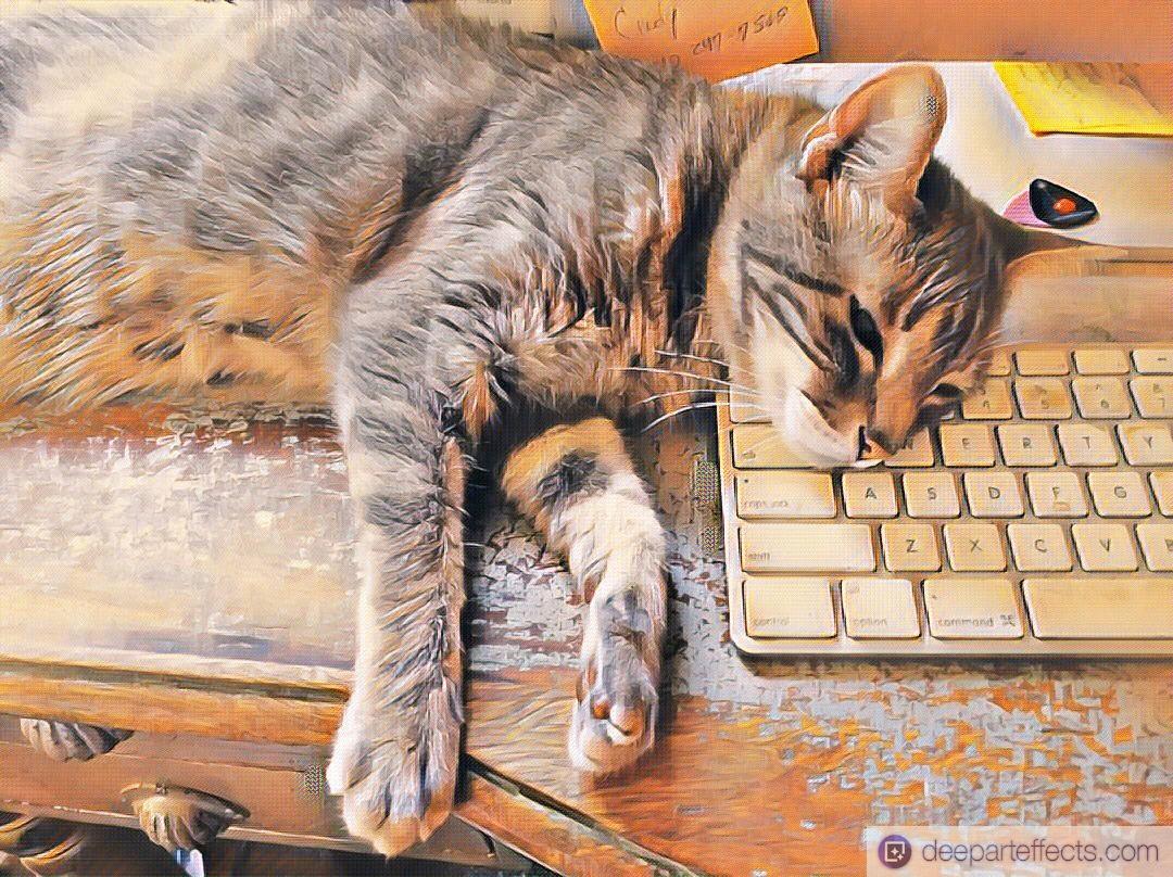 Read more about the article My Cat And My Keyboard ~ a short poem by Katrina Curtiss 8/13/2020