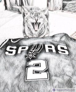 Read more about the article My Cat And The NBA ~ a short poem by Katrina Curtiss    8/28/2020