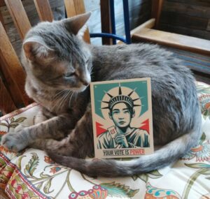 Read more about the article My Cat has a Political Agenda ~ a short poem by Katrina Curtiss 8/31/2020