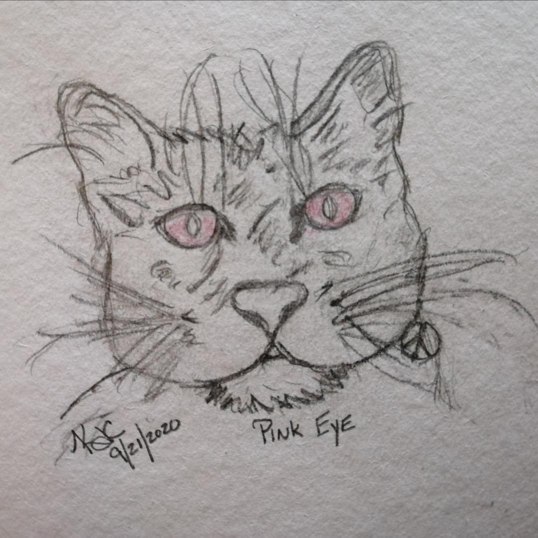 Read more about the article My Cat Has Pink Eye ~ A Short Poem by Katrina Curtiss 9/21/2020