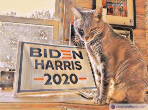 Read more about the article My Cat And Her Political Sign “Ridin With Biden” ~ by Katrina Curtiss 9/28/2020